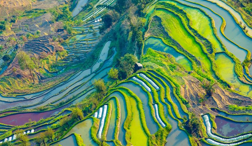 宝妈必备神器：临武县产品视频拍摄轻松育儿好帮手