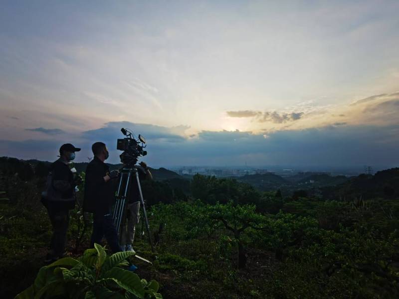 聚焦临武县产品宣传视频拍摄公司，用专业实力铸就品牌传播传奇