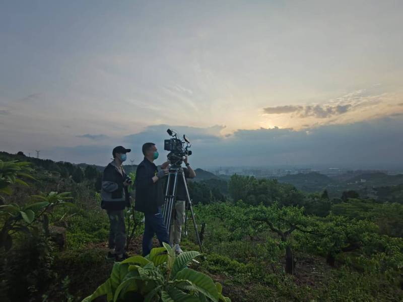 创意破圈！临武县电商产品宣传视频用故事化叙事引爆流量