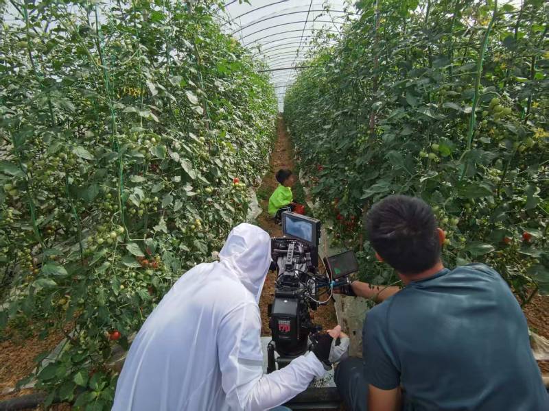 临武县产品宣传视频拍摄公司进阶指南，助力品牌抢占传播高地